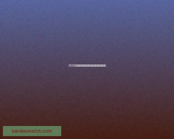 2026世界杯最佳球员精彩表现引领球队迈向荣耀之路